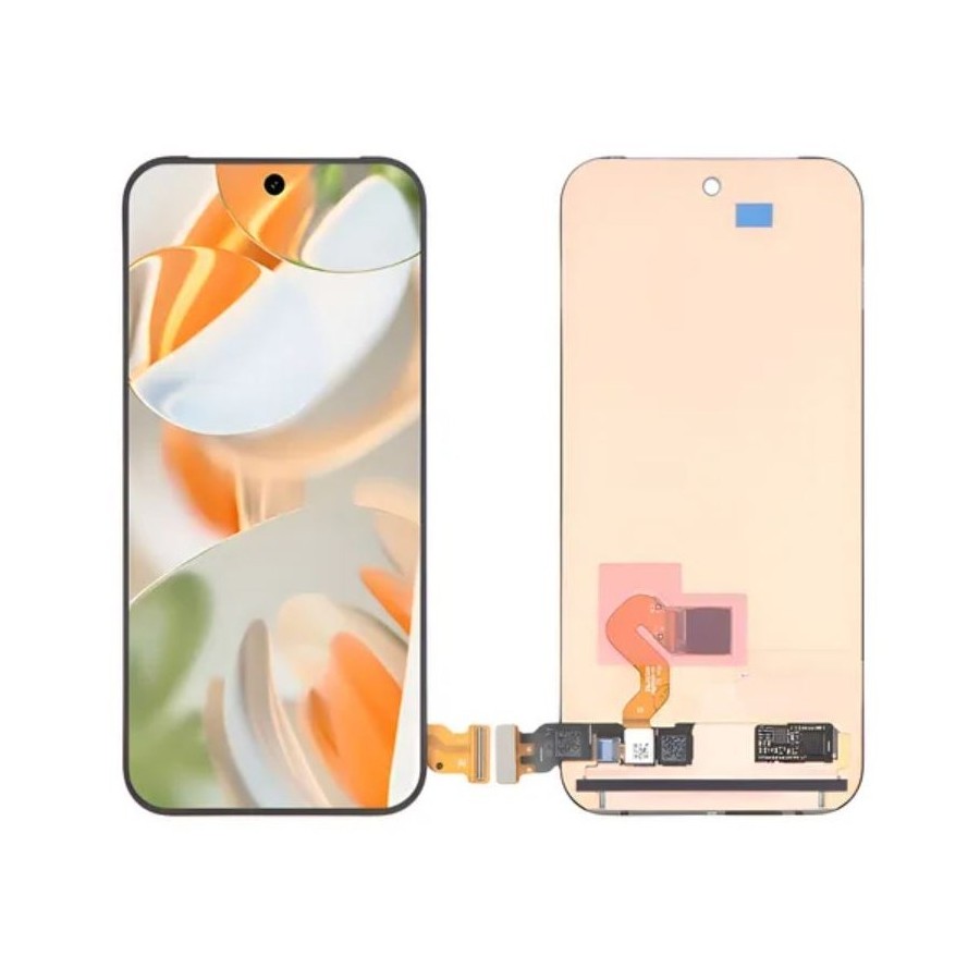 Display google pixel 9 original