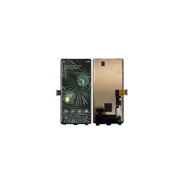 Display Google Pixel 6 Pro OLED